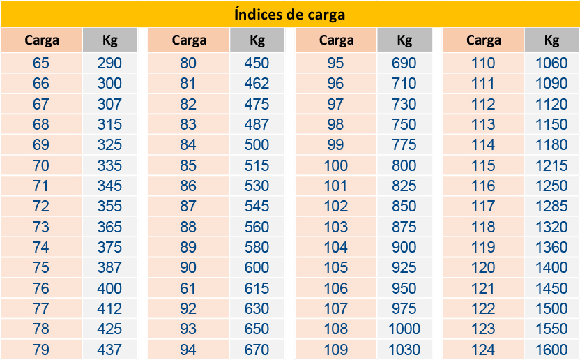 Guía del neumático